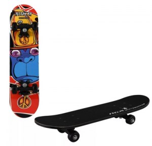 skatebord