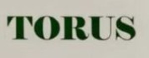 Torus logo