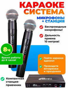 RITMIX-RWM-221-2