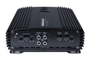 amp_mass_2_60-1