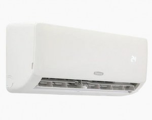 biryusa-b09fpr-2