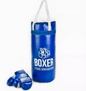 boxer-nabor18516