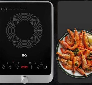bq-hp124ss-2