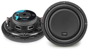 Сабвуфер ESB 1.10SD2