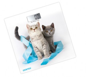 vesy-napolnye-ct-2426-kitten